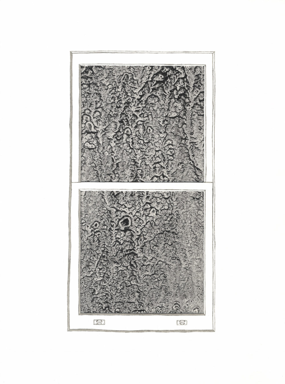 Jo_Lathwood_blind_view_2