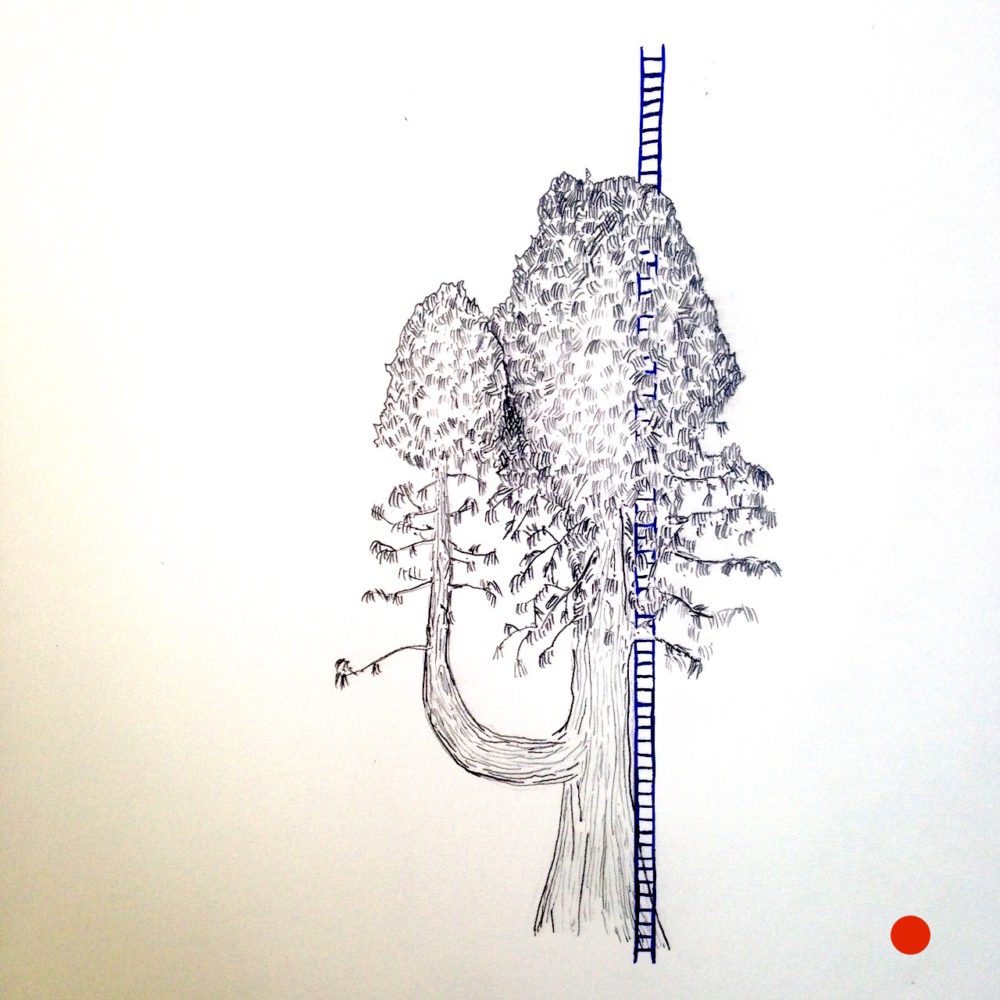 Jo_Lathwood_Ladder_10