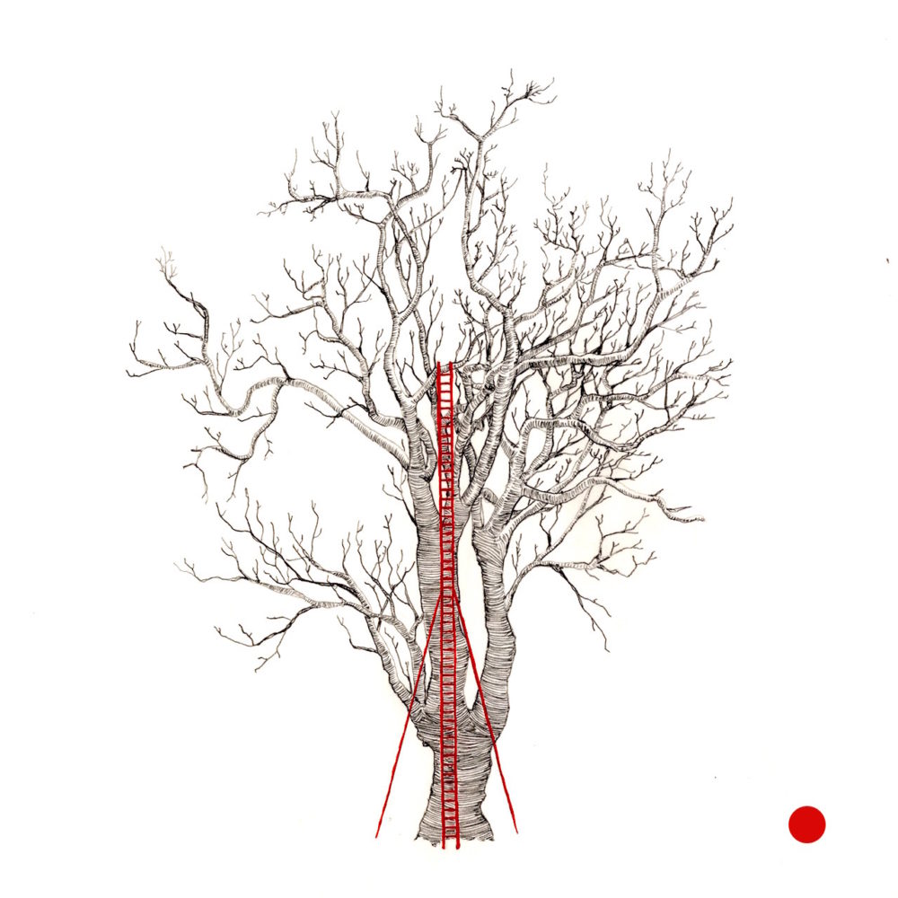 Jo_Lathwood_Ladder_11