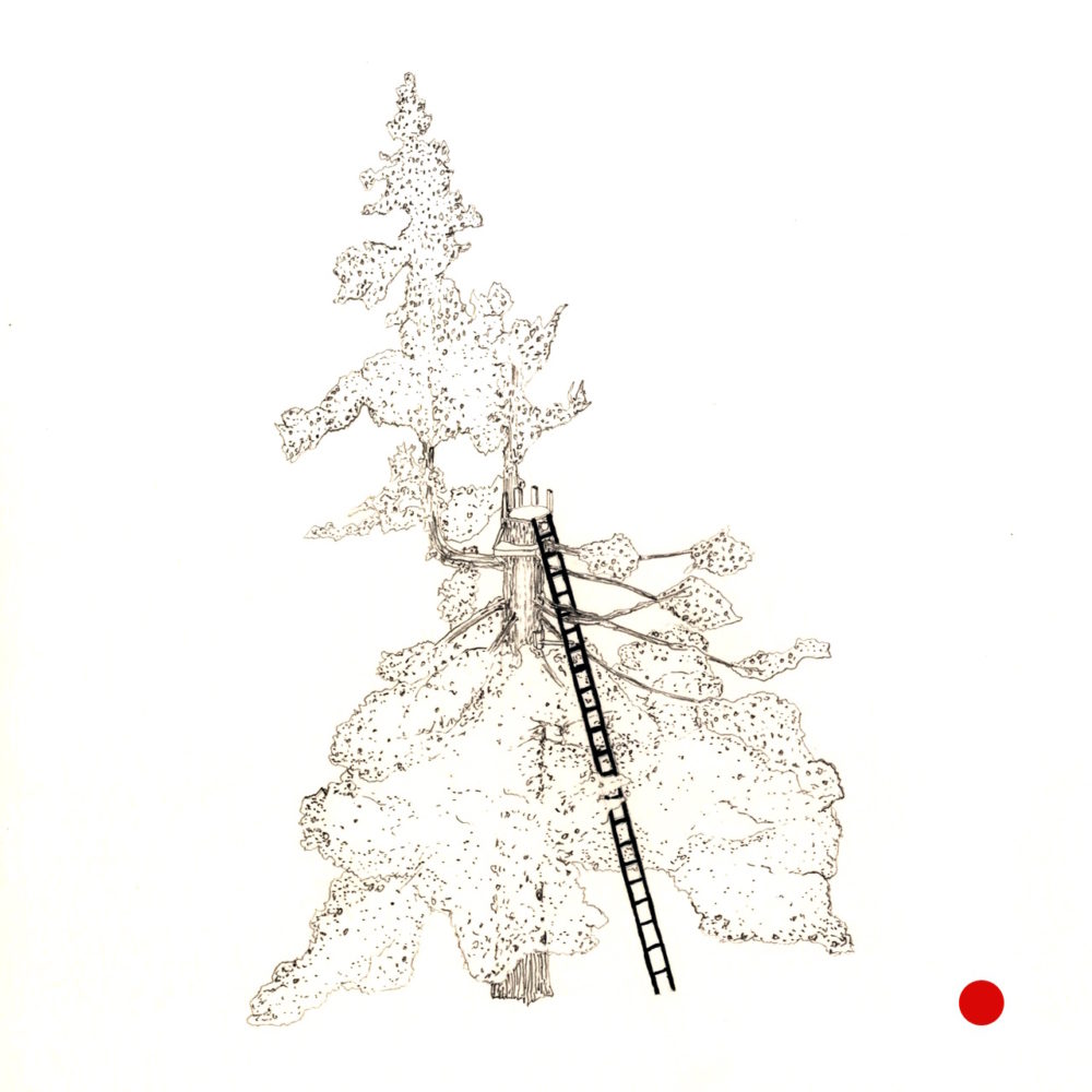 Jo_Lathwood_Ladder_15