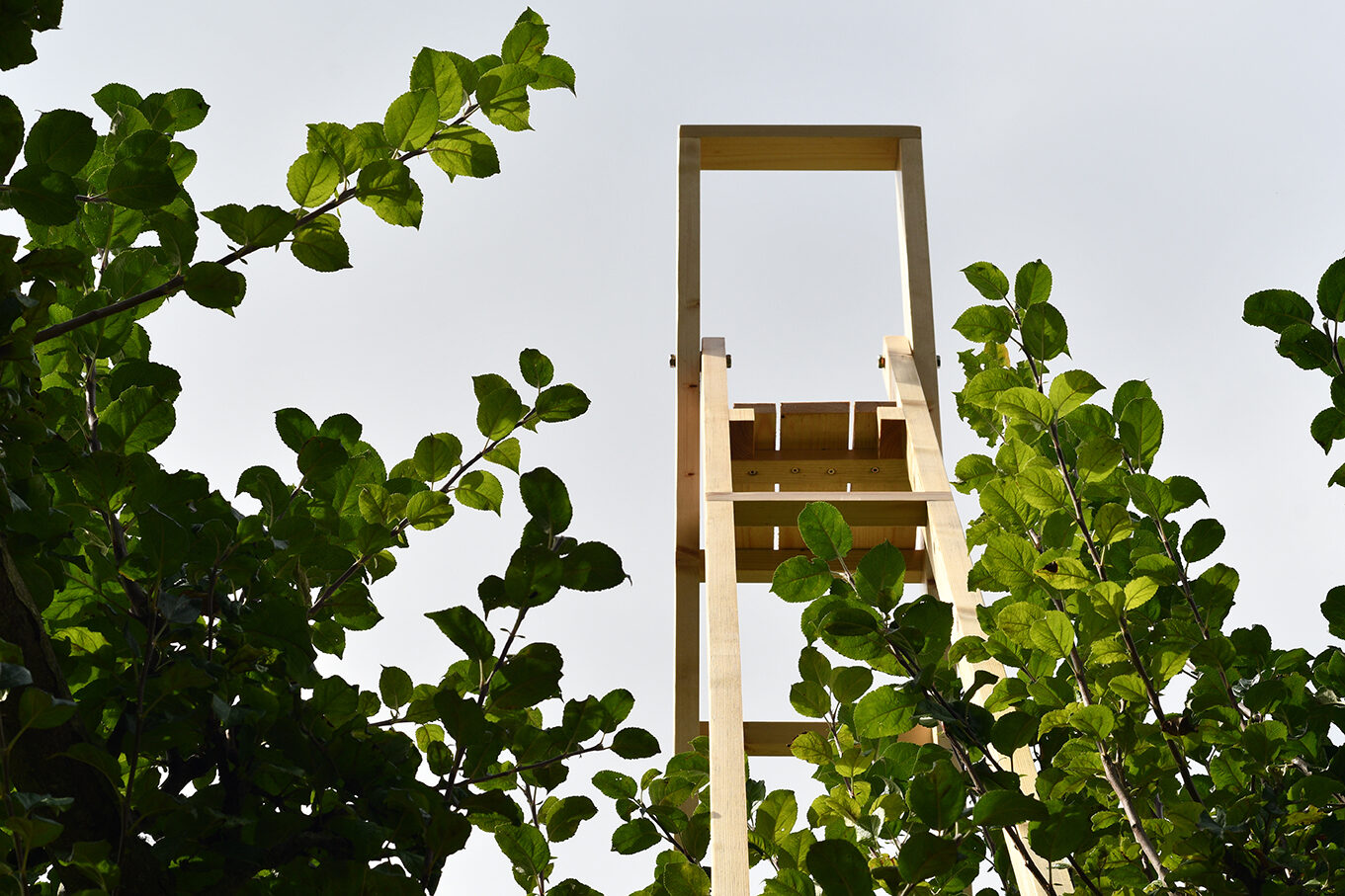 Jo_Lathwood_Graft_Ladder_07