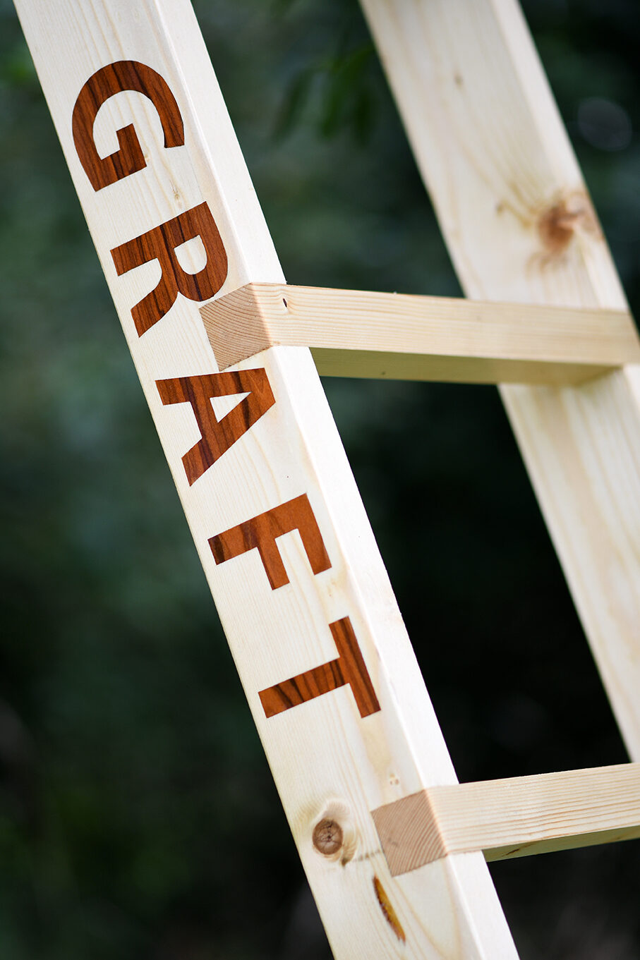 Jo_Lathwood_Graft_Ladder_06