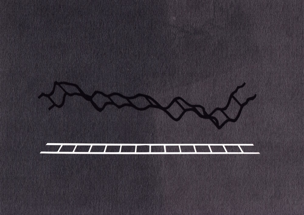 Dollar_Ladder_crypto_web