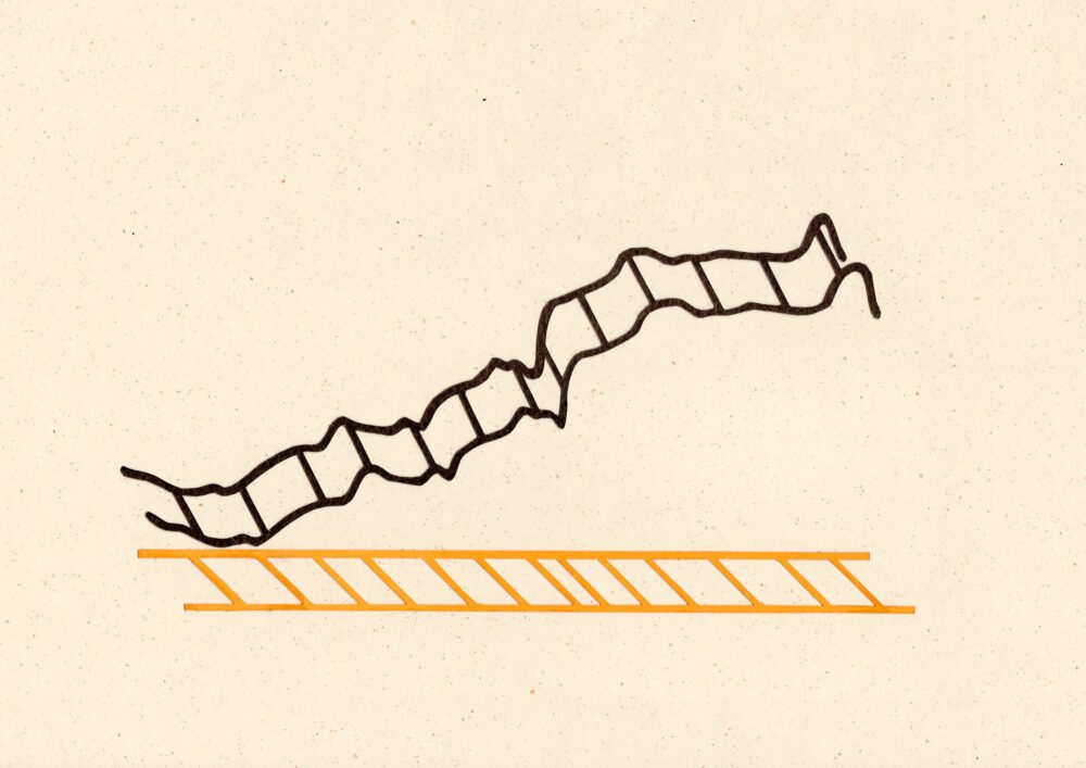 Micheals_Ladder_crypto_web