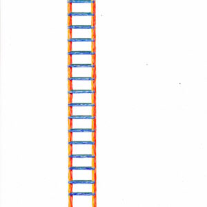 'Primary Ladder'  is simply made of primary colours. Over the course of Lathwood’s practice, ladders have been an important symbol of change, desire and aspiration. They are the quintessential tools to get over something, to conquer obstacles and shift a view point. During the first Covid-19 lockdown she started a new series of gouache paintings of very small ladders on paper. The ladders were either drawn from imagination, observation or sent in by individuals also enthused by ladders.