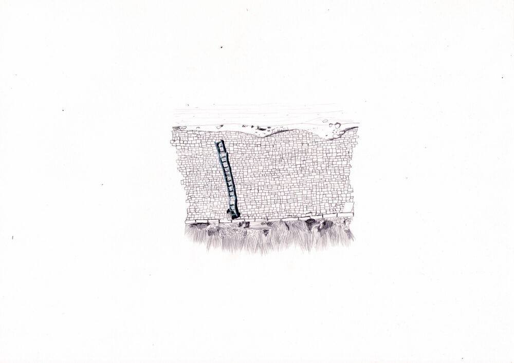 River_Avon_Ladder_web