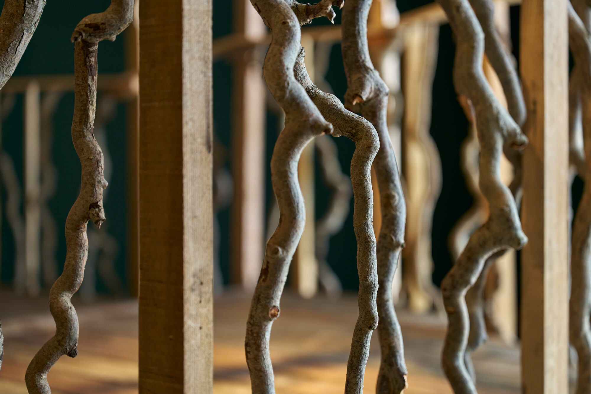 Jo Lathwood 120925 _165_Lo Res